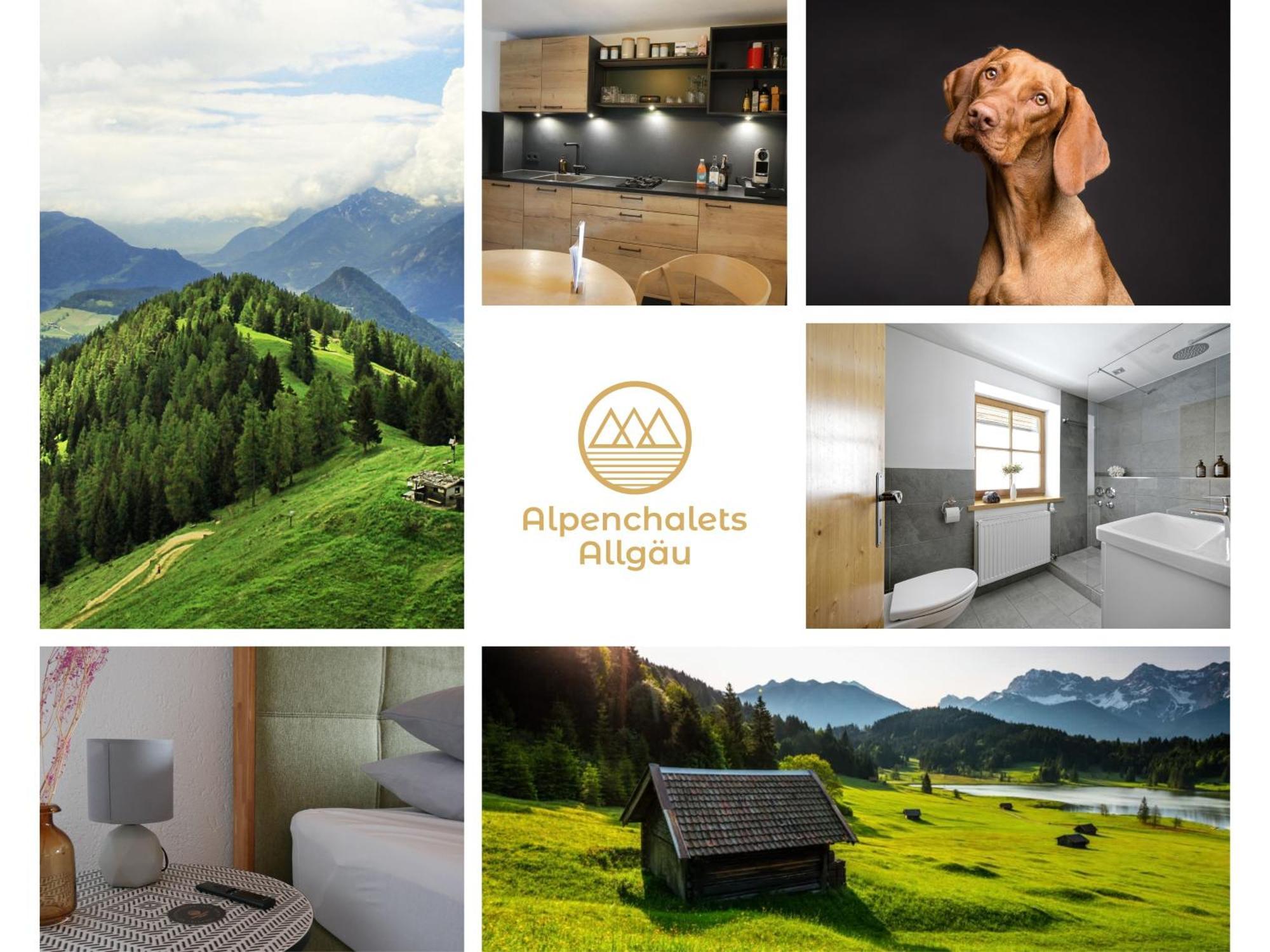 Gemuetliches Ferienhaus Mit Garten Kamin, Eine Separate Ferienwohnung, Neu Renoviert, Ideal Fuer Familien Und Gruppen Immenstadt im Allgäu Extérieur photo