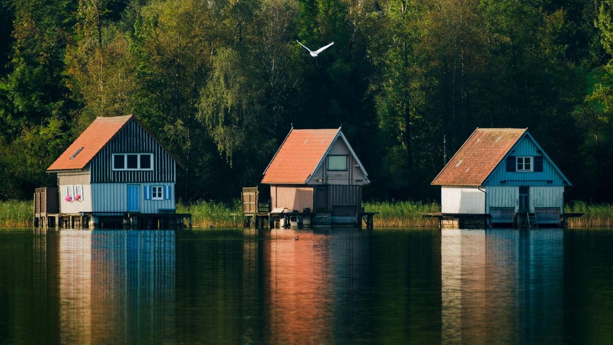 Gemuetliches Ferienhaus Mit Garten Kamin, Eine Separate Ferienwohnung, Neu Renoviert, Ideal Fuer Familien Und Gruppen Immenstadt im Allgäu Extérieur photo